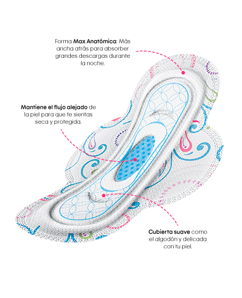 Kotex® Evolution Nocturna